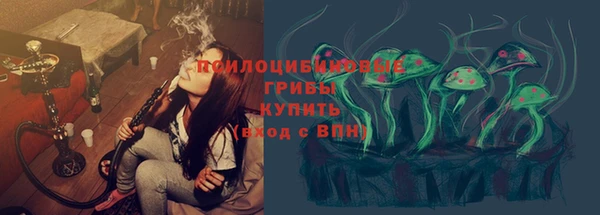 мяу мяу мука Абаза