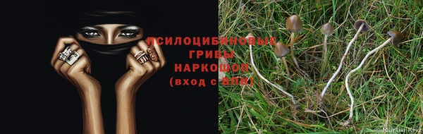 дмт Абдулино