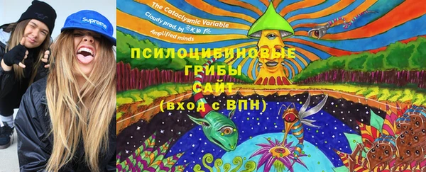 мяу мяу мука Абаза