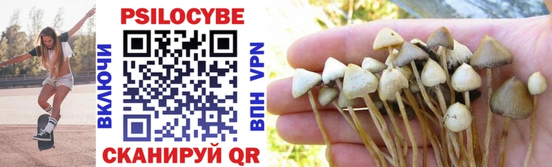 Псилоцибиновые грибы Magic Shrooms  купить  цена  Усть-Кут 