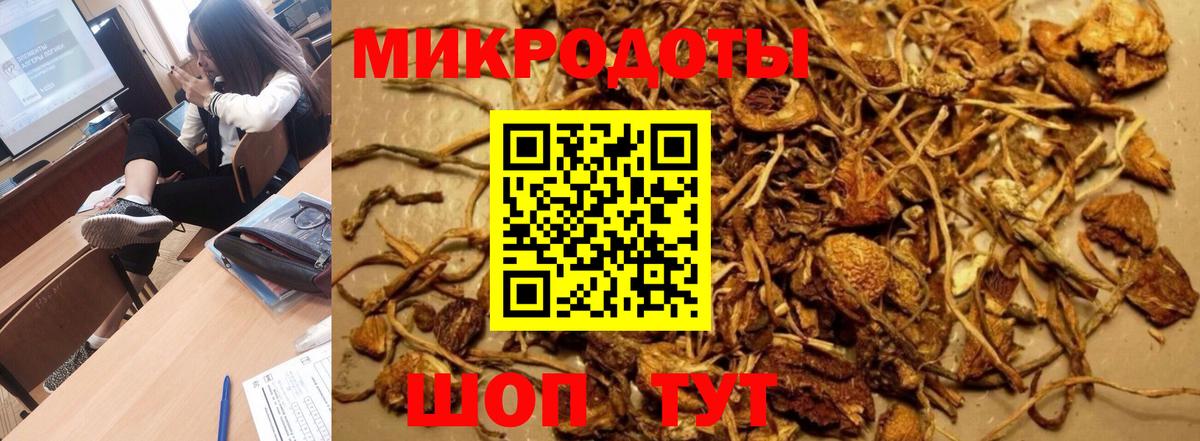 Галлюциногенные грибы Psilocybine cubensis Усть-Кут