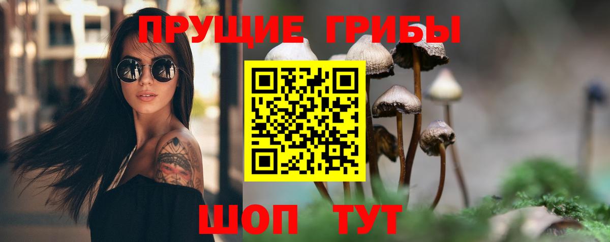 Усть-Кут  Псилоцибиновые грибы GOLDEN TEACHER  Вход с VPN  Галлюциногенные грибы Magic Shrooms 